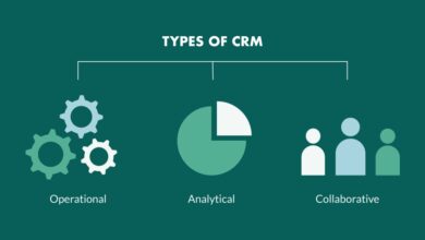CRM software cost